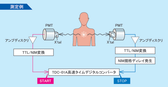 陽電子(ポジトロン)放出によるγ線計測の時間分解計測、測定例